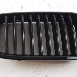 BMW Grila radiatorului 51712165528